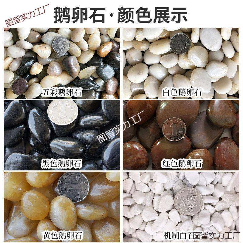 花盆里的YUK鹅卵石阳地景面鱼装饰个性花园鹅卵石台缸观户外院子,鲜花速递/花卉仿真/绿植园艺,其它园艺用品,淘宝优惠券,粉丝福利购,淘宝优惠卷