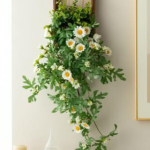 in风植景物墙面装F976T865小雏饰菊挂件室内墙壁假花藤蔓电视背遮