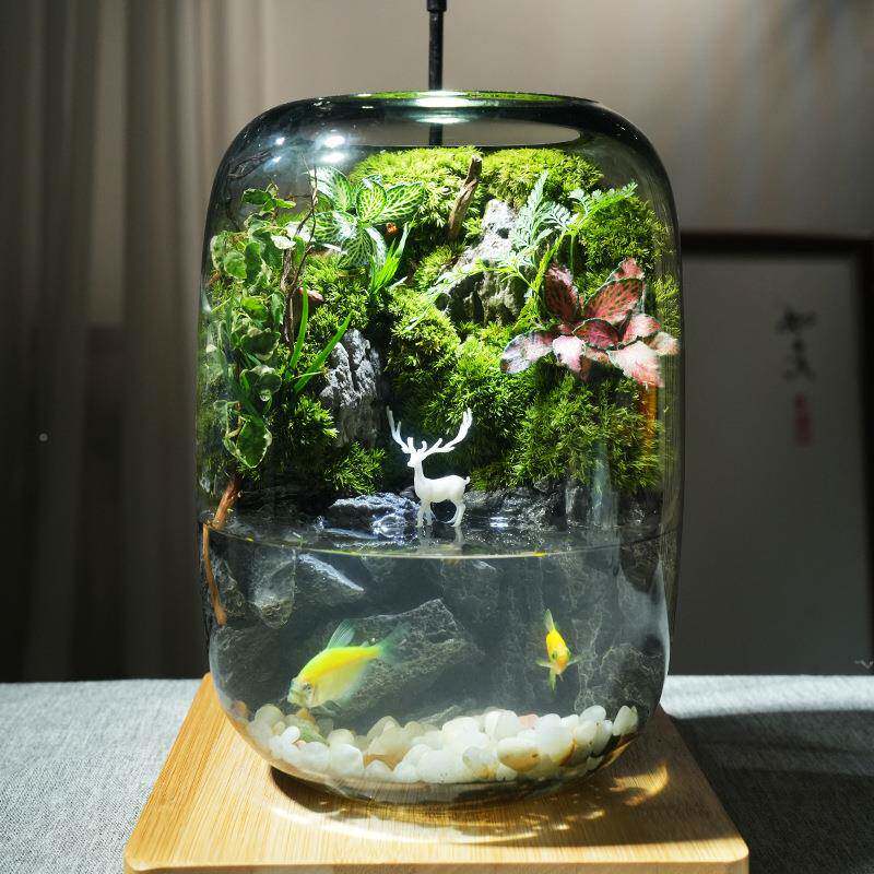 【影鹿景】苔植藓微观生态瓶玻璃造other景物盆景办公室桌面盆栽