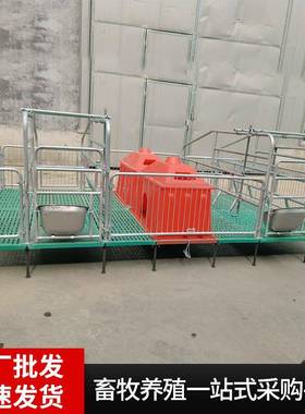 厂家现货母猪产合床猪产保分两用双用体68321产床母猪娩栏全复仔