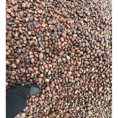 河北任黄丘红色卵鹅石石643家庄雨色花石