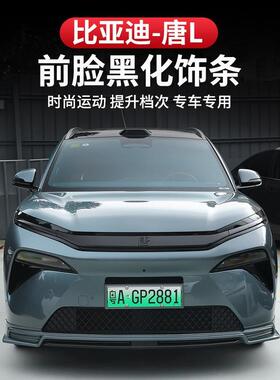 比亚迪L正面黑色装饰条888网格汽车标抗i刮擦Hdm/P志装饰贴纸修唐