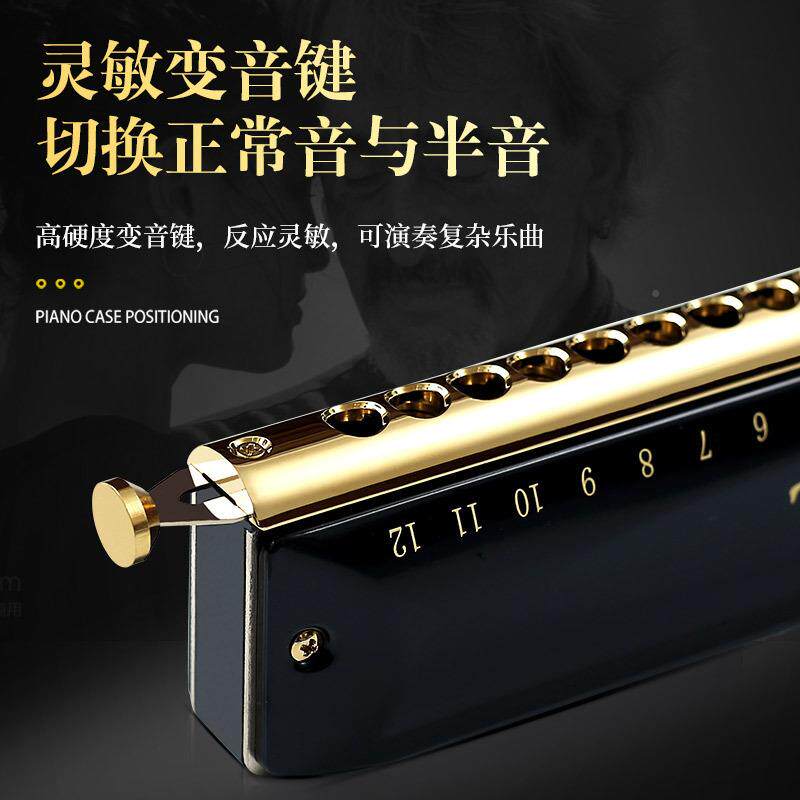 国光ERY国业之梦半音阶口琴01216孔C调初学者专演奏级1乐器儿童