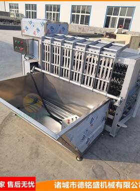 电机带罩的脱毛护黑山羊去毛设备机DMSDM-10分两档控温羊烫羊毛池