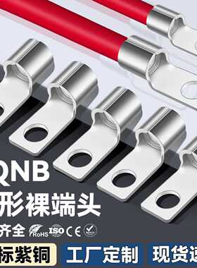 CNXI华西科技SQNB方形裸端头冷压接线端子紫铜线鼻子方形铜接头厂