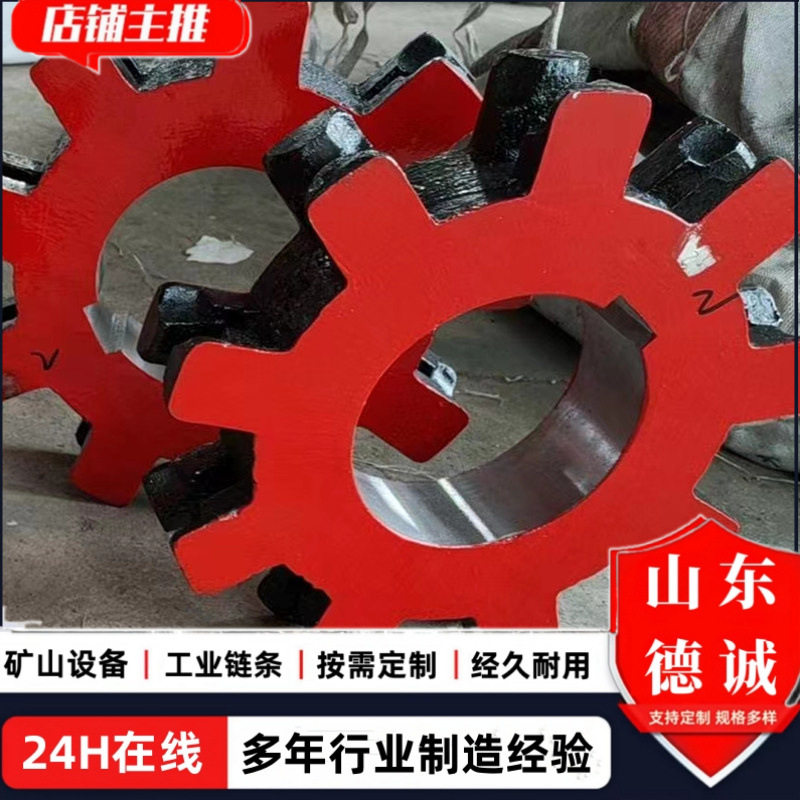 NE提升机304不锈钢链轮