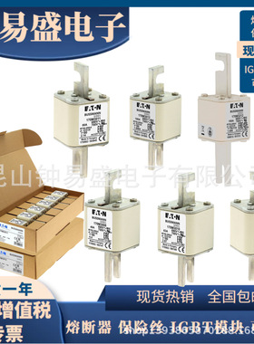 Bussmann熔断器690V80A170M3011170M3061170M3161170M3211