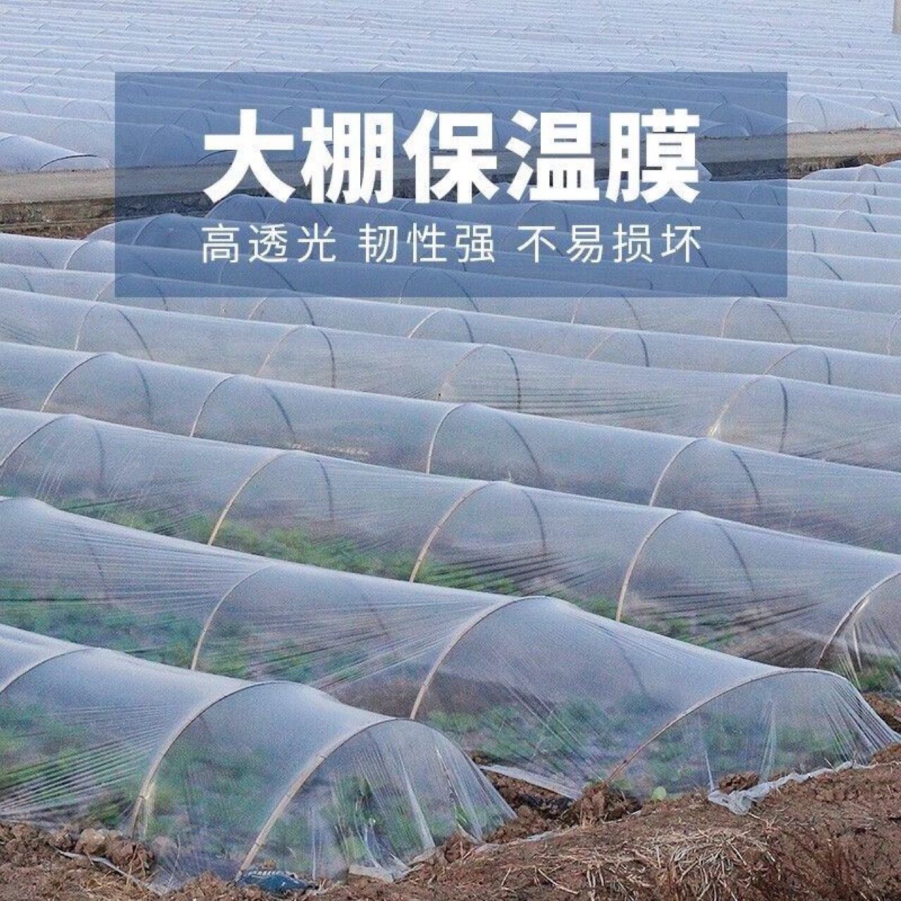 农用透明塑料种菜小拱棚膜膜塑胶布保温地膜防寒聚彩其他实用