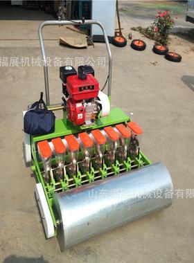 6机行蔬菜播种精播机四冲程汽FZ-01471油施肥播种机玉米大豆播种