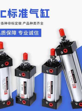 SNS神0驰标准气缸SC63*25/x050/-75/57119293/100/12515/250/30/4