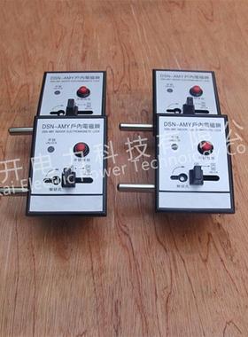 SDS磁N-BAMZ高压电磁锁手柄式高压柜门锁DSN-BMZ/YDN-M电DSN-AMZ