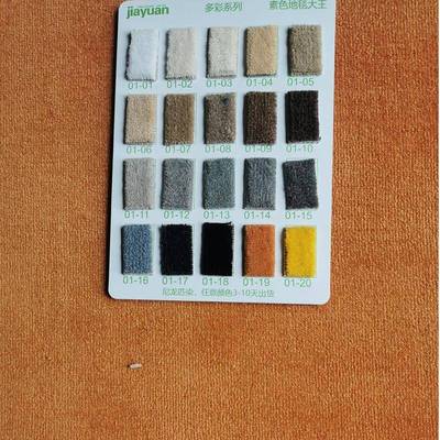 尼龙纯色防火满院大面积地毯家用商用B661燃级阻影加厚耐磨拍铺照