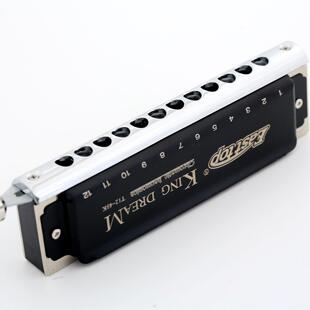 E阶ASTTOPRAMONICA金色梦想者12孔KXB半音H阶C调口琴高档半音口琴