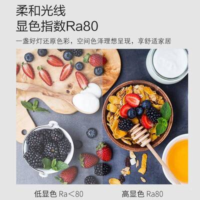 欧司朗（OSRAM）ed吸顶灯圆形l58611简约灯具卧室灯书房厨阳台客