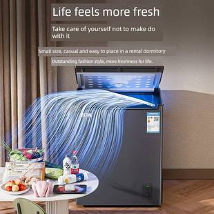 282雪花小冰家用商租用冷藏冷冻用大容量宿柜两舍房用办公室迷你