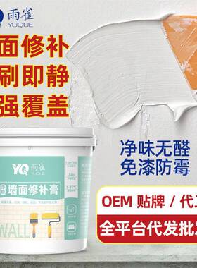 墙面修补膏防霉白色补墙膏大白腻子粉墙面修复无味免漆补墙膏补洞