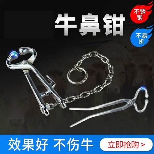 不锈钢牛鼻钳牛鼻夹子带链条牛用牵引绑定钳牛用保定器养牛设备