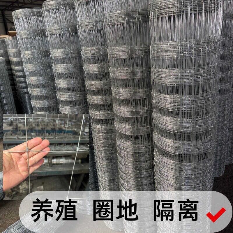 热镀锌铁丝网养殖网牛栏网草原网围网隔离网圈山圈地钢丝网防护网
