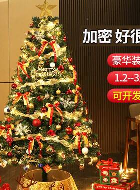 新款圣树诞家用diy套餐灯诞节s装饰高级感in风554客厅大型圣摆件