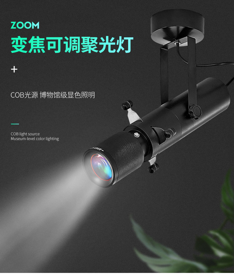 LED单灯调光调色聚光灯