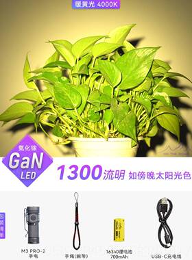 正品在上M3 PlRO-迷你强光U2SB手电筒防身可充电小手电筒户外防路
