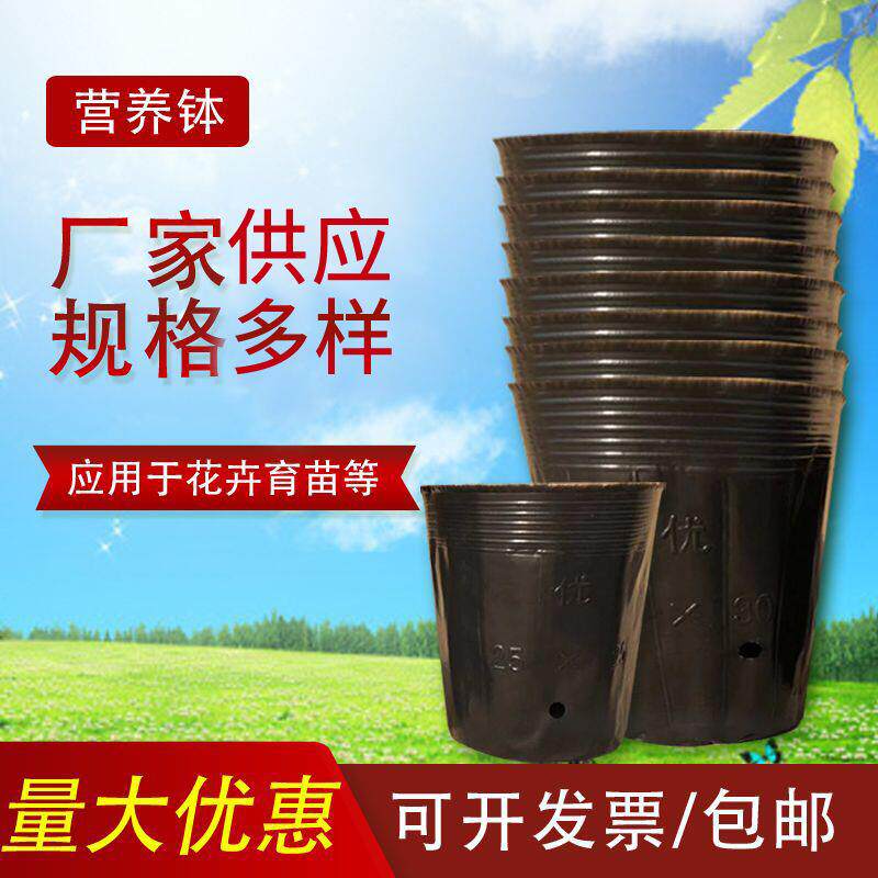 营养杯育苗杯大号加厚袋一次性塑料农用西瓜种植柑橘育苗盆营养钵
