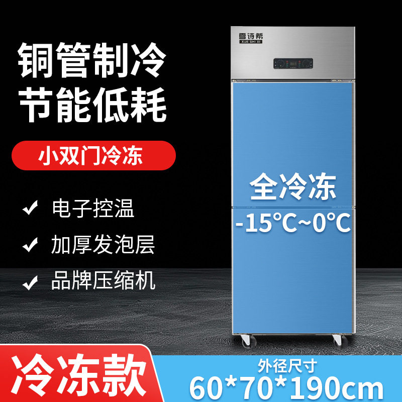 商用小双门全冷藏全冷冻商用冰柜展示饭店冷冻柜大容量厨房专用柜