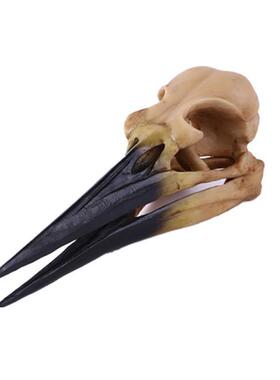 恐龙鸟头骨树脂骷髅头树脂工艺品居家摆件动物头骨研究创意摆件