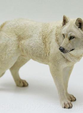 正品XKJ1/6 草猛原狼模型真兽狼摆件兵人仿动物周边创意潮玩手办