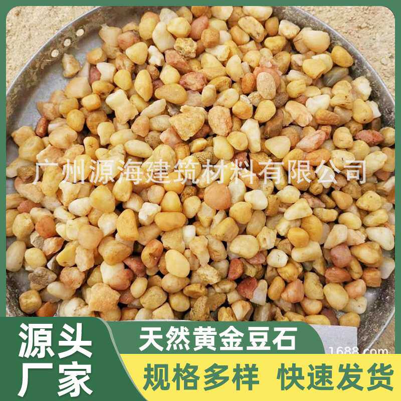 广州佛山黄金砂黄豆砂豆石天然黄金沙 水刷石 抿石子 洗石米