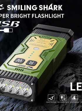 Outdoor lighting charging multi-function work light flashlig