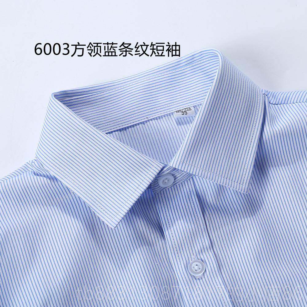 正品女士短袖白纹底蓝色细条工装衬衫纹工银行职员V领条衬衣大码