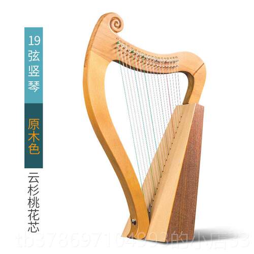 新款1箜5音小竖琴19弦莱雅初y琴篌学者小型小众乐器便携易学里拉l