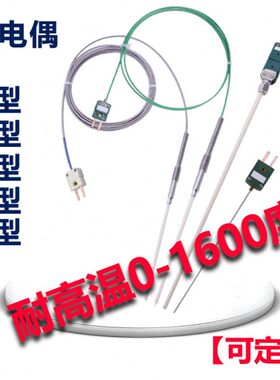 耐高温1600度S/R/K/J/E型铂铑热电偶WRP-130刚玉管温度传感器铠装