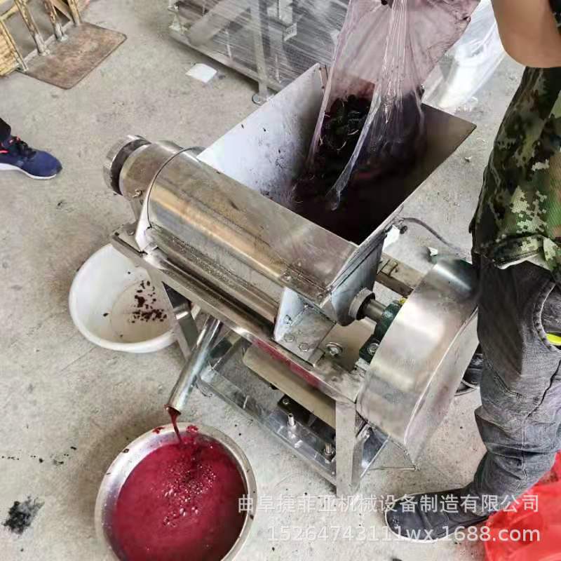 桑葚蓝莓番茄螺旋挤汁机大型不锈钢水果榨汁机 红枣去核打浆机