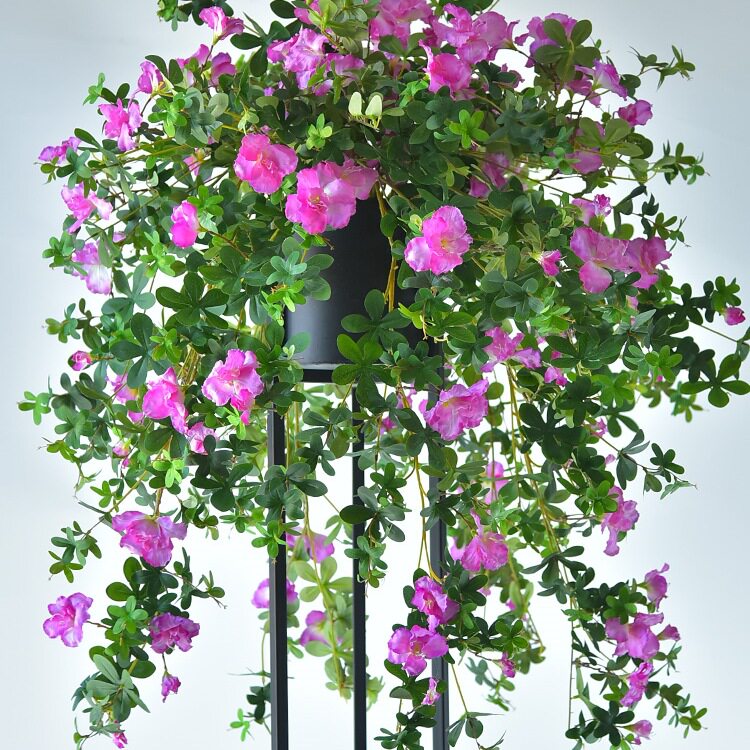 映山红杜鹃花墙面装饰吊花假花藤条塑料花绿植壁挂花吊兰植物