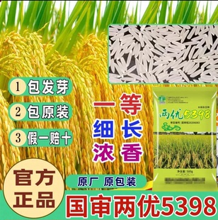 两优5398高产优质水稻种子长粒米好吃超高产稻谷种子抗倒伏耐高温