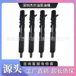 EJBR03501D柴油喷油器总成适用于德尔福Tata-BS3 DICOR Safari3.0