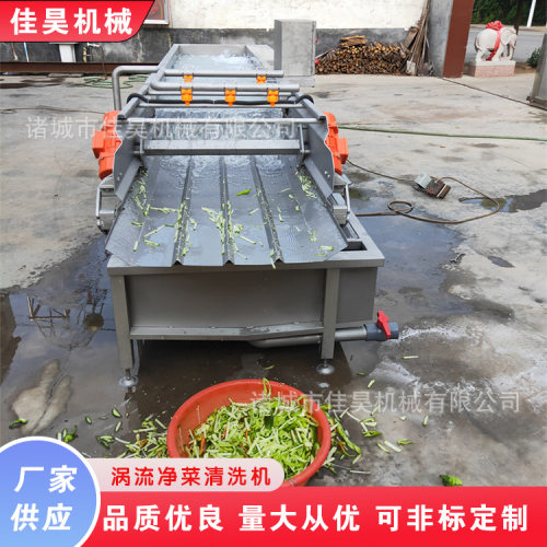 小型不锈钢鼓泡洗菜机机器 雪莲清洗蔬菜设备蔬菜涡流清洗机厂家