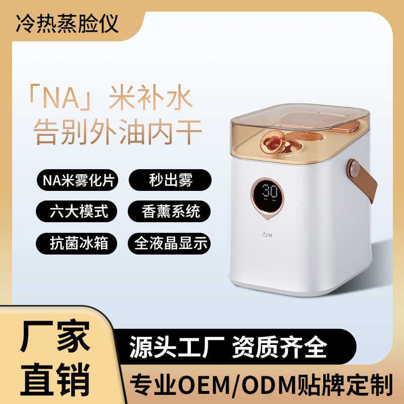 冷热双效纳米蒸脸仪喷雾银离子保湿洁面洁亮OEM补水仪纳米银离子