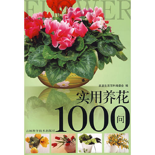 正版二手 实用养花1000问 9787538437850 吉林科学技术出版社