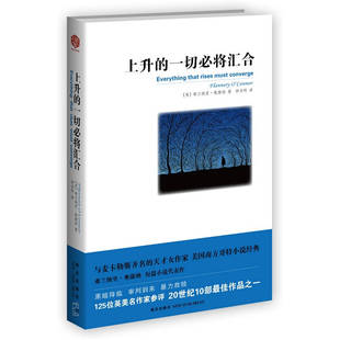 正版新书 上升的一切必将汇合(与麦卡勒斯齐名的的天才女作家弗兰纳里·奥康纳短篇小说代表作,美国南方哥特小说经典)