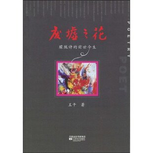 正版新书 废墟之花-朦胧诗的前世今生 9787539935140 江苏凤凰文艺出版社