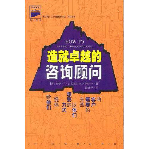 正版新书 造就的咨询顾问 [美]贝切斯 段盛华 中国标准出版社