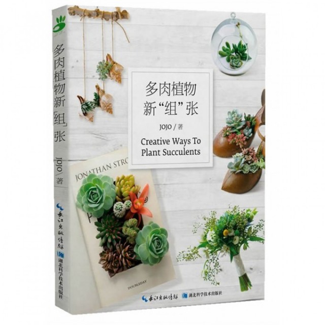 正版二手 多肉植物新组张 9787535266026 湖北科技,书籍/杂志/报纸,自由组合套装,淘宝优惠券,粉丝福利购,淘宝优惠卷