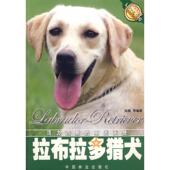 新书 拉布拉多猎犬 9787503845963 正版 中国林业出版 社