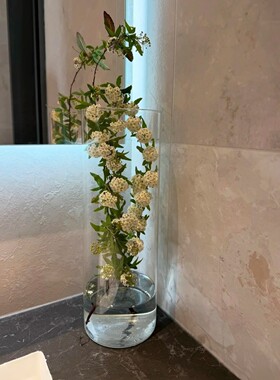 透明花瓶轻奢高级感摆件客厅插花水养花店醒花桶卧室客厅家用装饰