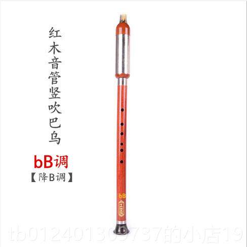 高档云演南正品乐器儿童G成人初学专业奏型紫竖吹竹巴乌调F调C调