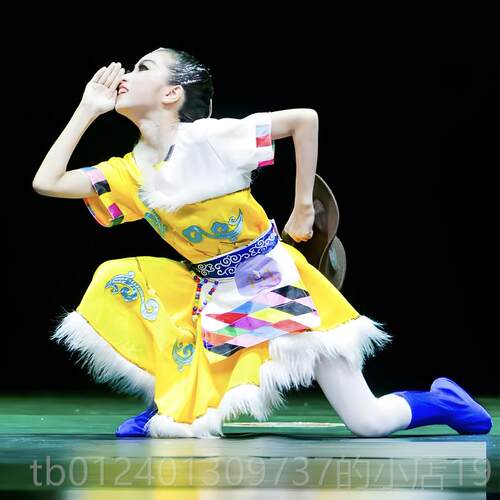 高档牧新歌儿童舞蹈演出服藏族蒙古民族少民族小牧童民族数演舞表