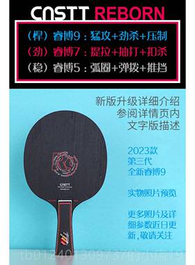 高档CnsT球T凯睿斯汀专业乒乓拍博9底板胶高级兵乓皮球拍乒乓拍套